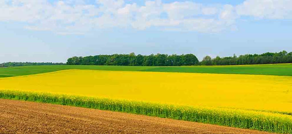 Holidays to Burgenland